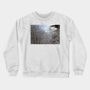 snowy  oregon forest 2 Crewneck Sweatshirt